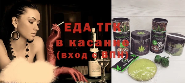 индика Новозыбков