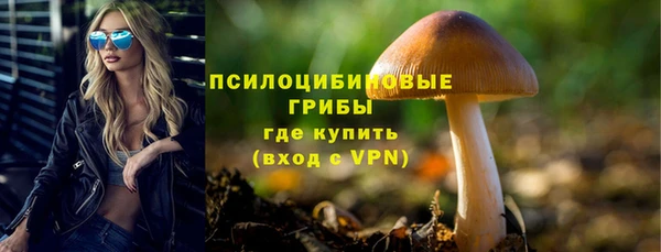 бошки Новодвинск