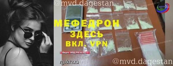 индика Новозыбков