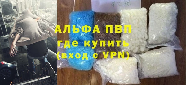 индика Новозыбков